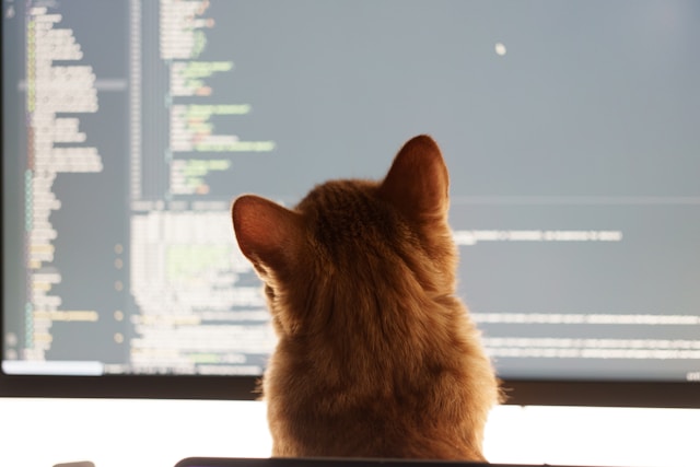 IT школа Equin-Core